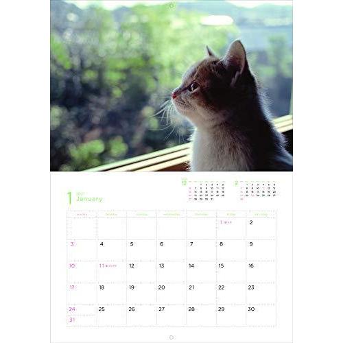 岩合光昭 福ねこカレンダー 21 カレンダー A ワイズセレクト 通販 Yahoo ショッピング