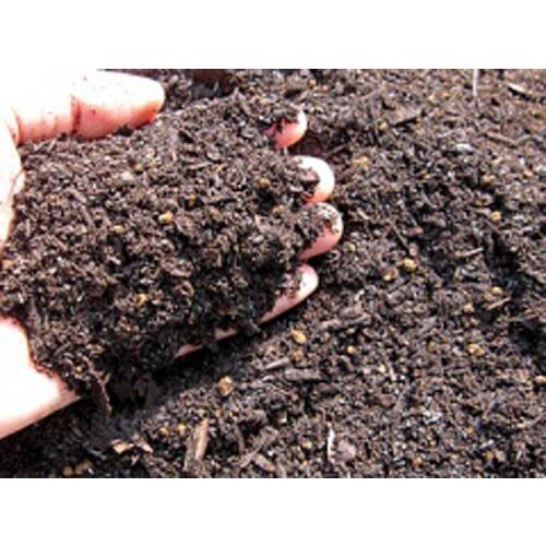 地植え 専用 バラ 培養土l 3袋セット Madeicampo Com