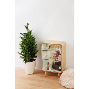 AZUMAYA(東谷) コレクションシェルフ S 強化ガラス扉 ナチュラル｜PT