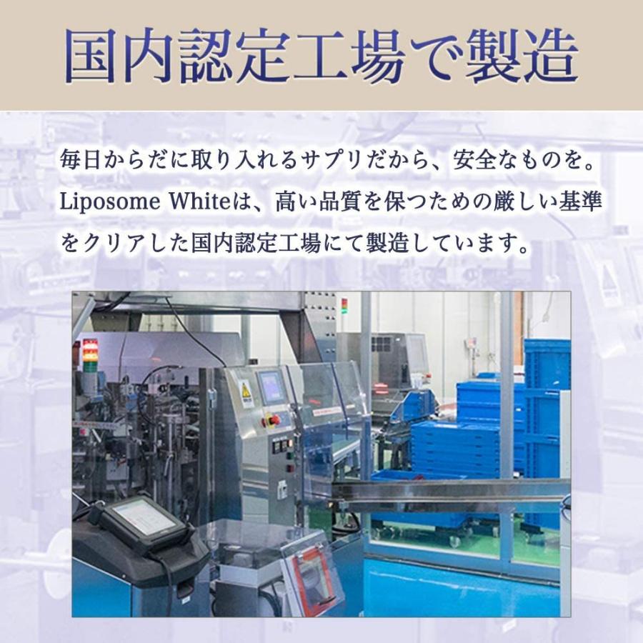 リポソームホワイト 【 高吸収型 リポソームビタミンC ビタミンE 配合 】 国内製造 サプリメント 粉末 カプセル 30日分 180粒 |  | 05