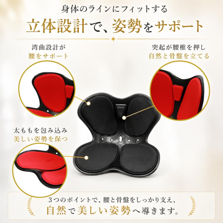 骨盤サポートチェア 姿勢矯正 クッション 骨盤矯正 腰痛 猫背対策