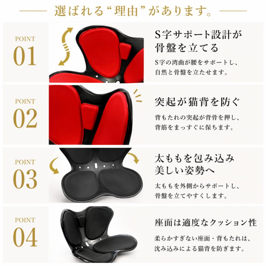 チェア　スピーナ　ゲーミング　腰痛　猫背　姿勢矯正 Amazon.co.jp: 姿勢矯正 椅子 ゲーミング座椅子 骨盤矯正 クッション