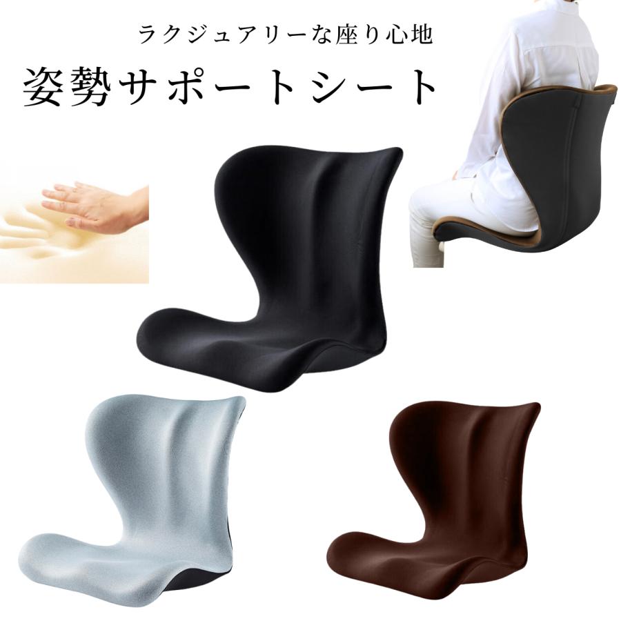 骨盤 矯正 椅子 シート プレミアム ゆがみ グッズ 姿勢が良く 骨盤 矯正 椅子 シート プレミアム ゆがみ グッズ 姿勢が良く