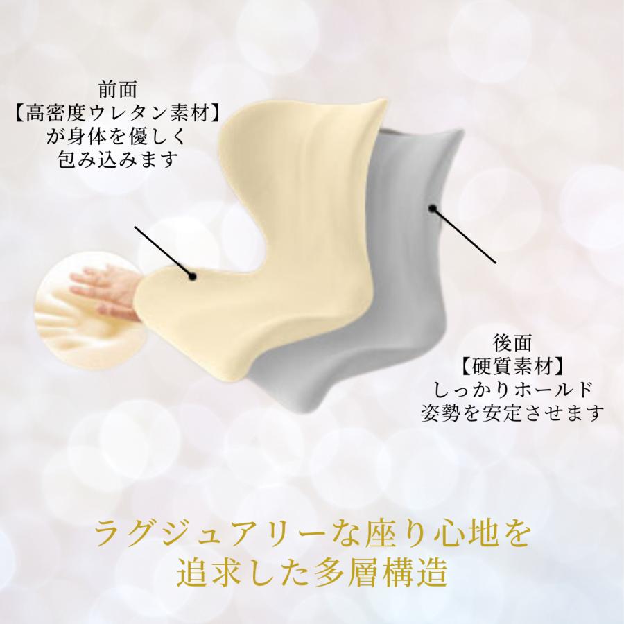 骨盤 矯正 椅子 シート プレミアム ゆがみ グッズ 姿勢が良く 骨盤 矯正 椅子 シート プレミアム ゆがみ グッズ 姿勢が良く