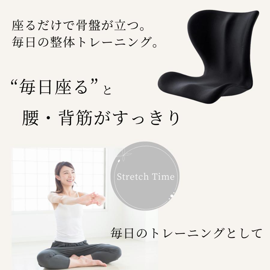 骨盤 矯正 椅子 シート プレミアム ゆがみ グッズ 姿勢が良く 骨盤 矯正 椅子 シート プレミアム ゆがみ グッズ 姿勢が良く