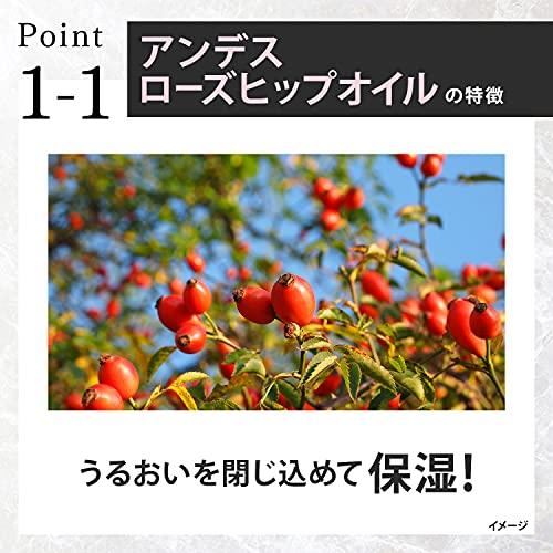 LUX(ラックス) プレミアム ボタニフィーク ダメージリペア トリートメント つめかえ用 350g｜wisterialal｜04