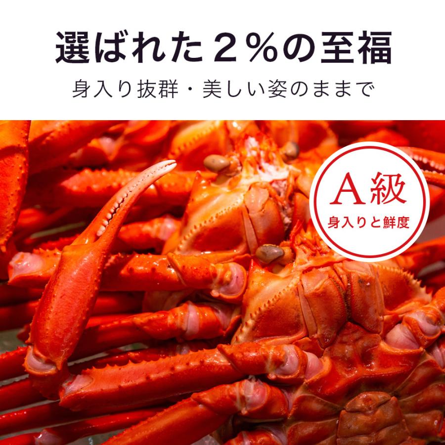 厳選2%から【A級以上】の最高品を「境港」からお届け。紅ズワイガニ 大型 3杯 500〜600ｇ ボイル 旨み凝縮 蟹 カニ ギフト ###紅ズワイガニ大x3杯###｜wisteriamount｜04