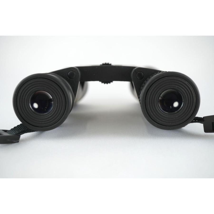 Vixen NEW APEX HR10×28 双眼鏡 USED美品 ビクセン ニューアペックス 防水設計 ダハプリズム アウトドア 完動品