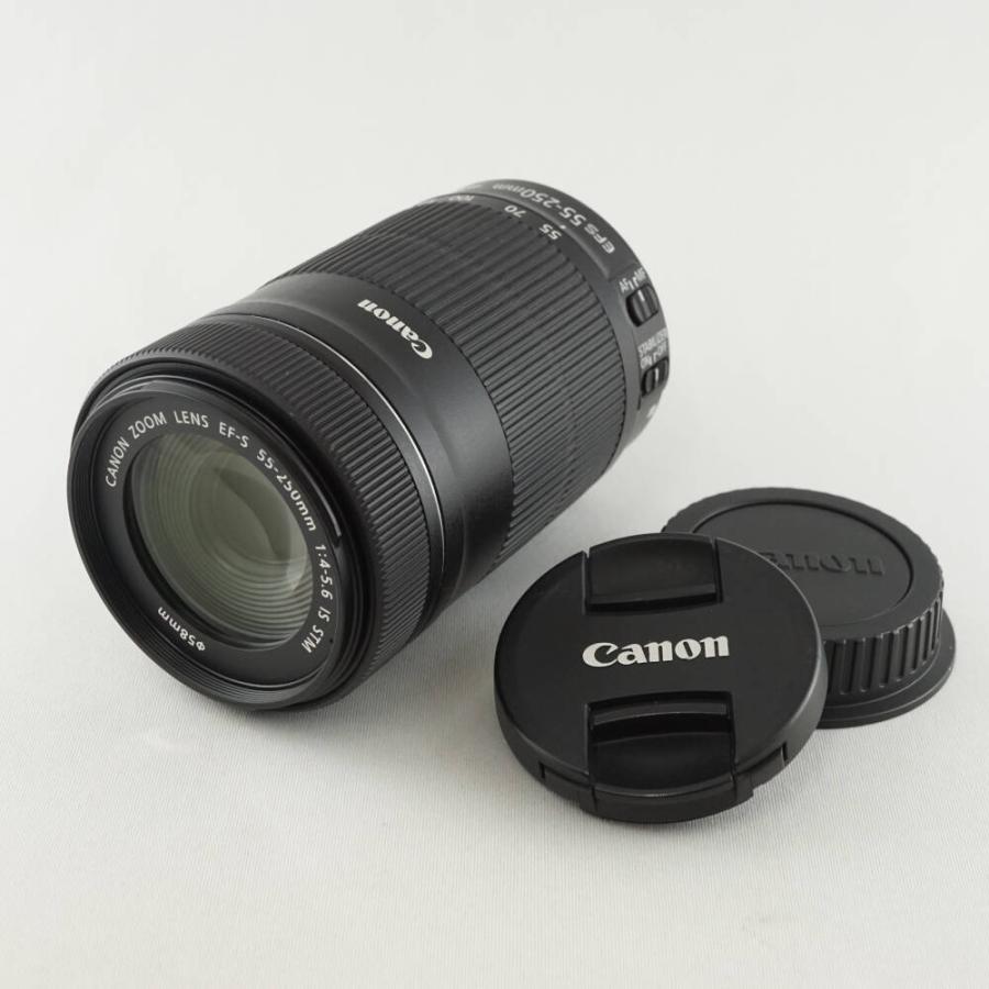 CANON EF-S 55-250mm F4-5.6 IS STM 交換レンズ USED美品 APS-C AF