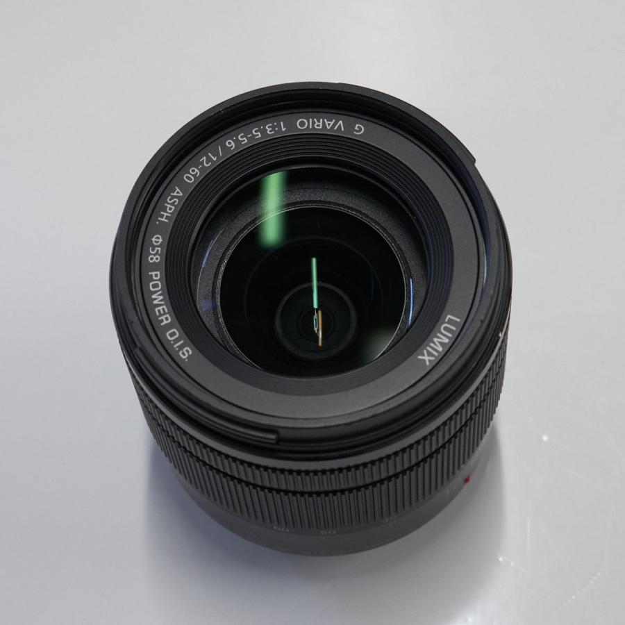 LUMIX Gシリーズ G VARIO 12-60mm F3.5-5.6 ASPH. POWER O.I.S.