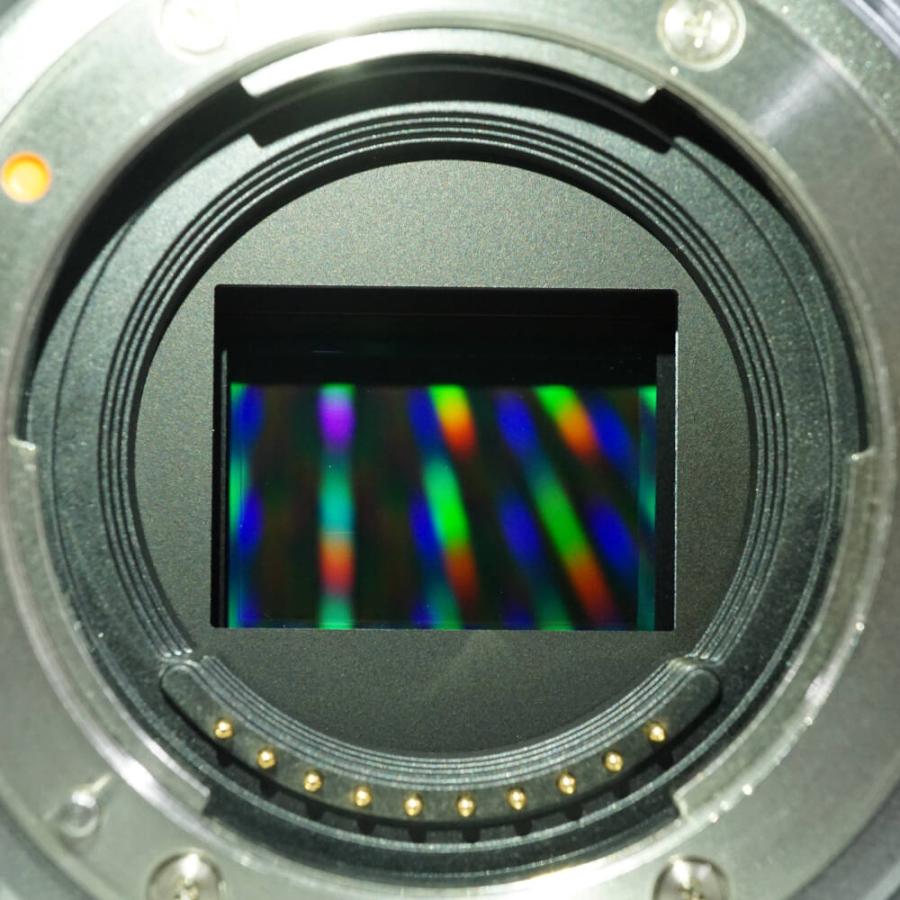 富士フイルム Xシステム FUJIFILM X-T4 ミラーレス一眼カメラ