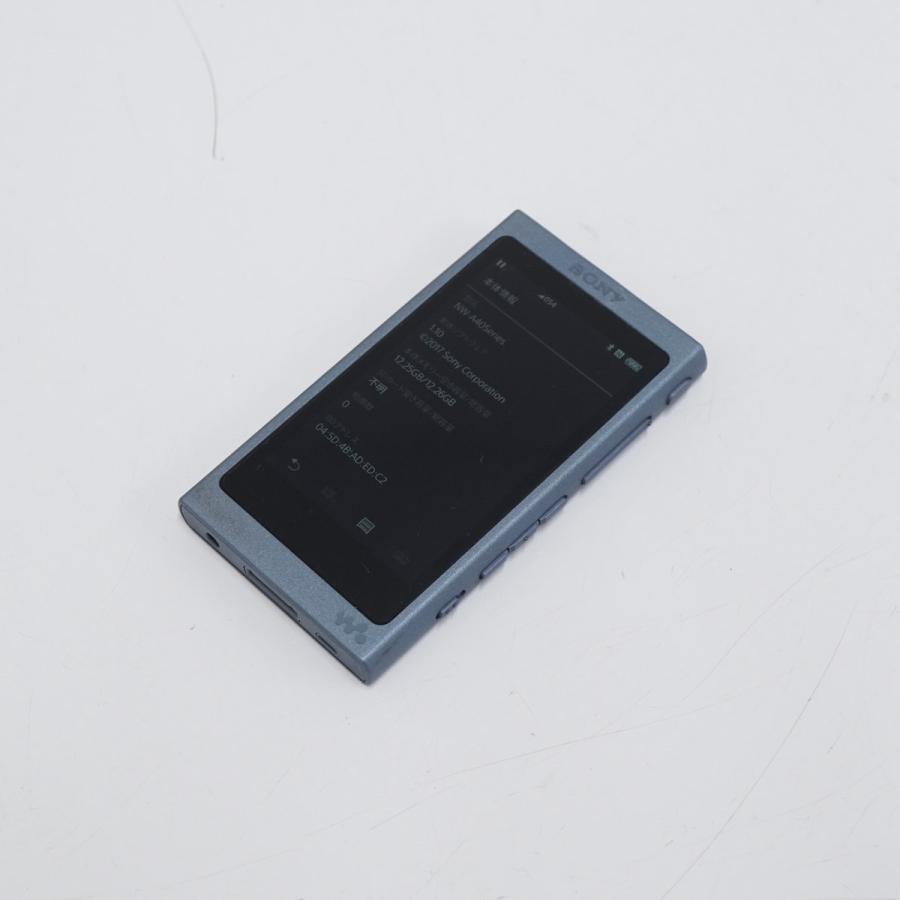 SONY ソニー WALKMAN ウォークマン NW-A45 16GB USED美品 ムーン