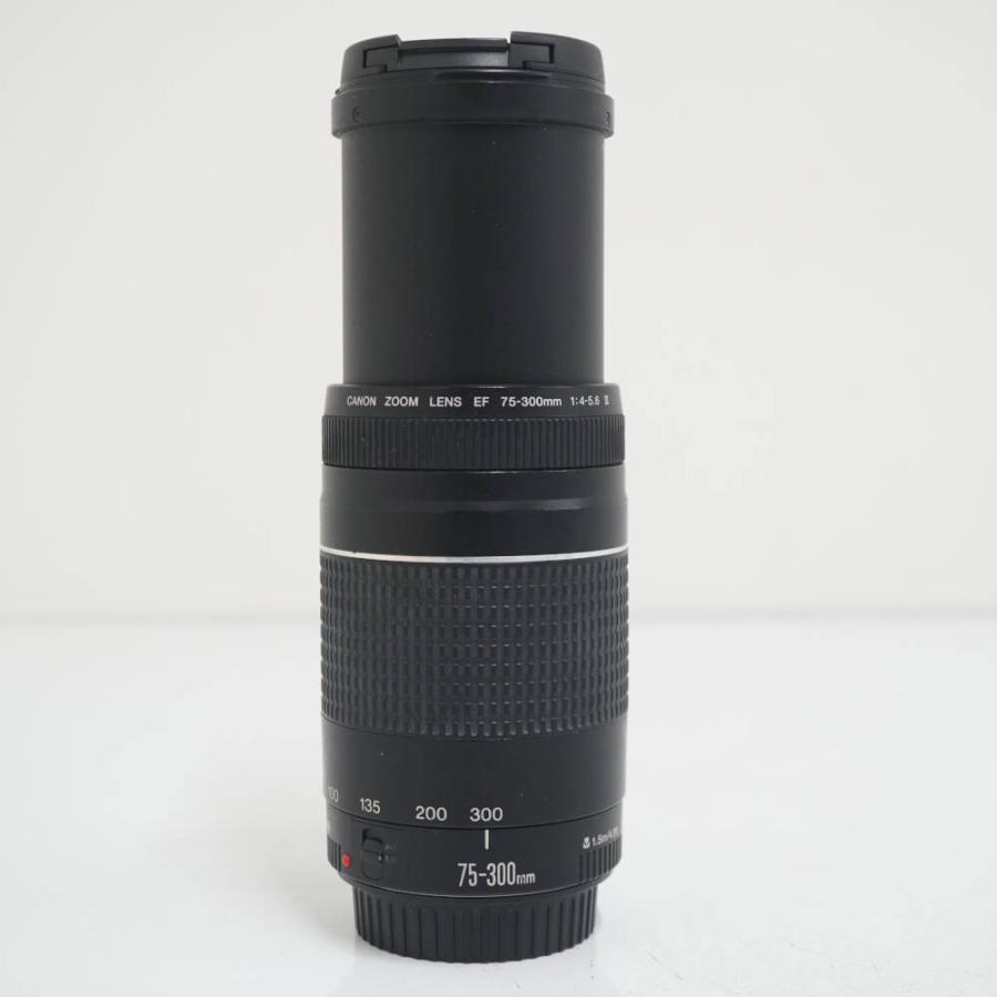 Canon EF75-300mm f/4-5.6 III 高倍率望遠ズームレンズ USED品 キヤノン EF