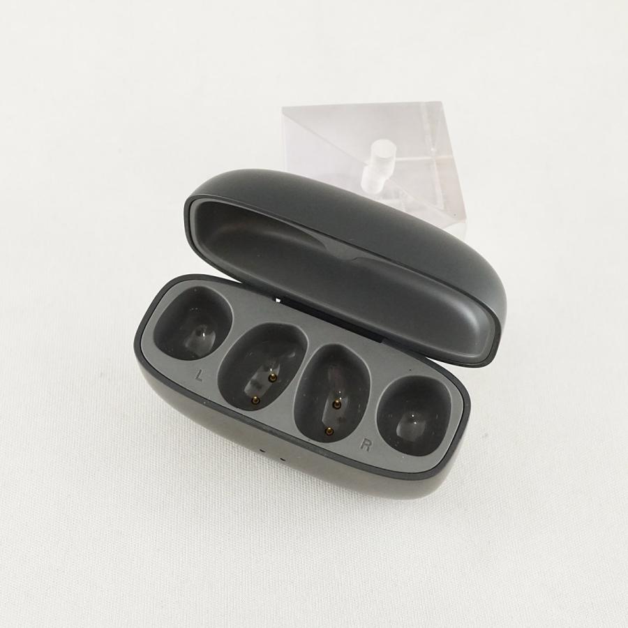JVC Victor HA-NP1T 充電ケースのみ USED美品 充電器 チャージング