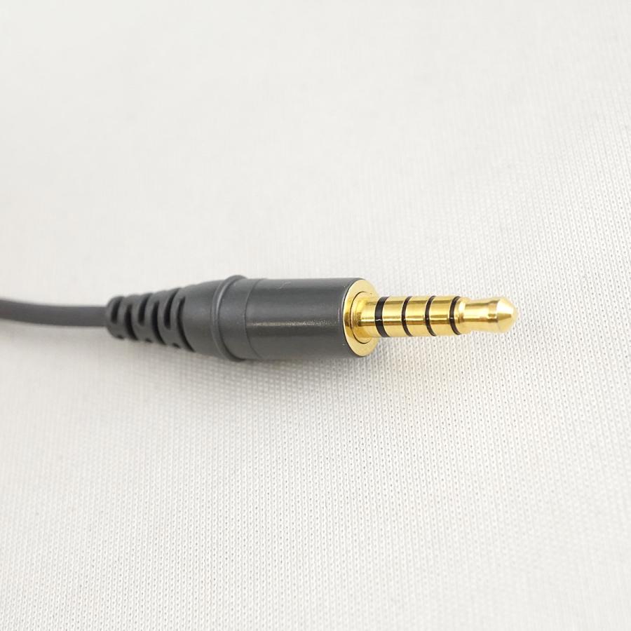 SONY（ソニー） SONY IER-NW500N 有線イヤホン USED美品 ウォークマン