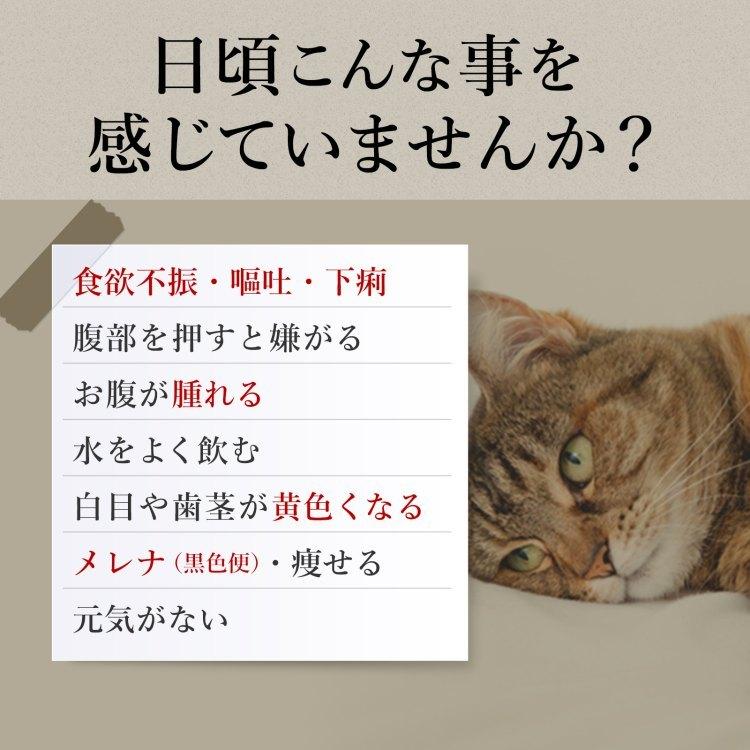 犬 猫 肝臓 サプリメント 肝臓加水分解物 プラセンタ Same 酵母 aa ウコン マリアアザミエキス 亜鉛 オルニチン 肝炎 肝障害 肝機能 黄疸 解毒 毎日良肝 国内正規総代理店アイテム