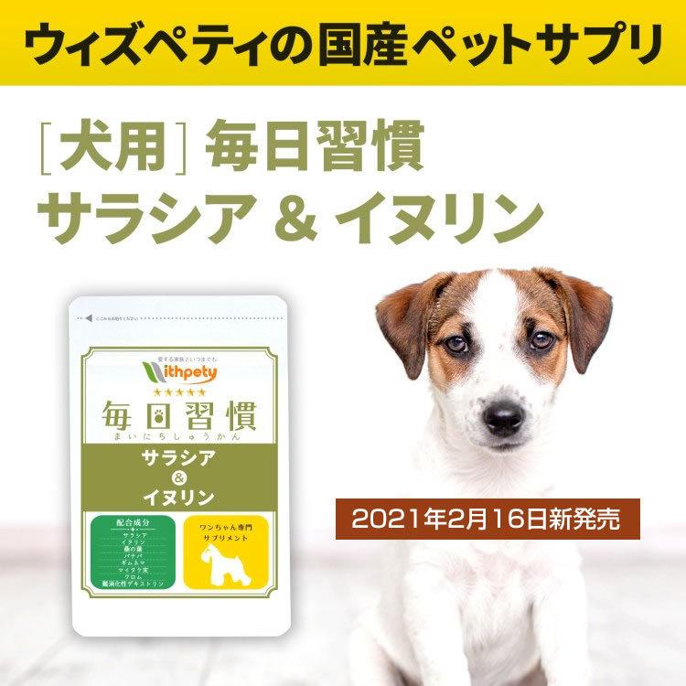 21特集 マルカン 錠剤ドロッパー ペット用品 Qdtek Vn