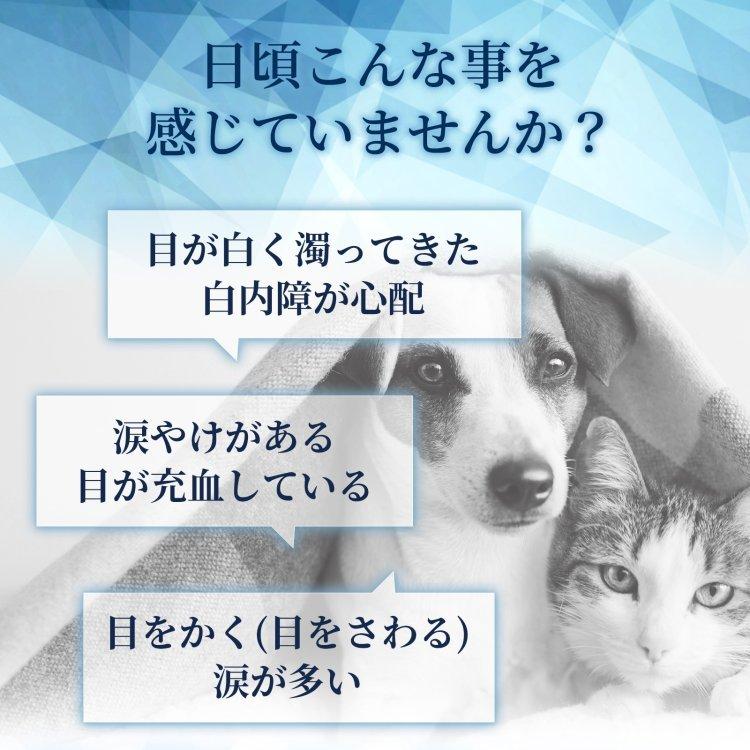 目の健康維持 6成分配合 犬猫兼用サプリ 粉末ミルク味 毎日愛眼 ブルーベリー ルテイン 1袋60杯入り 付属スプーン付 ウィズペティ公式ショップ 通販 Yahoo ショッピング