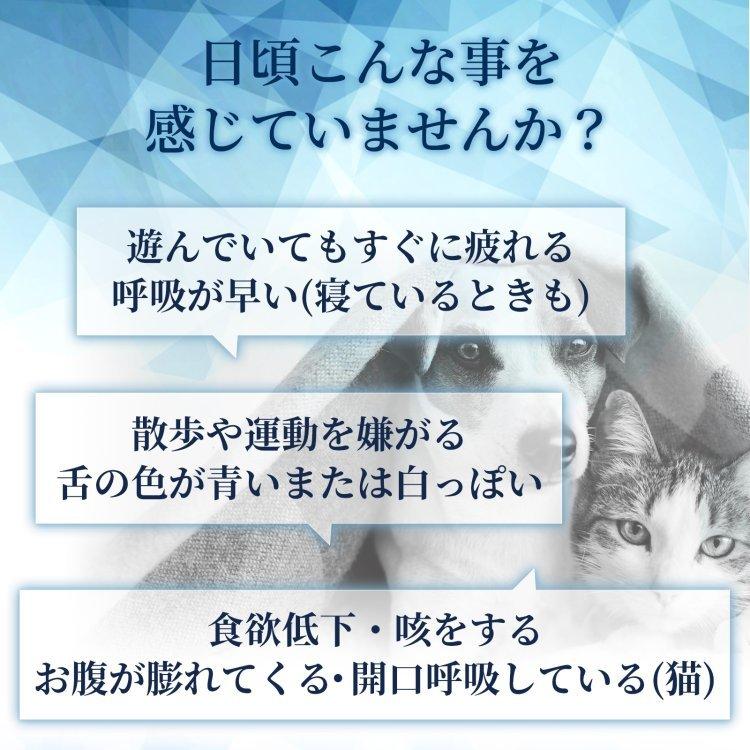 お1人様1点限り 犬 猫 心臓 サプリメント コエンザイムq10 フランス海岸松 ｌシトルリン ｌカルニチン ルンブルクス末 ゴマエキス タウリン 心臓病 心筋症 毎日健心 Wantannas Go Id