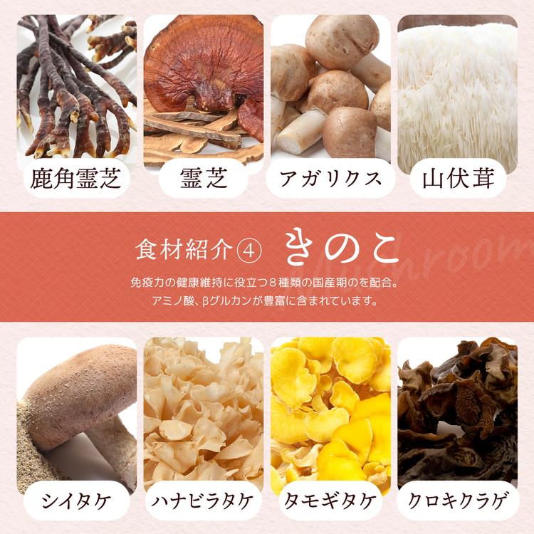 毎日美食　ドッグフード 無添加 国産 毎日美食 ウィズペティ公式] ドッグフード 無添加 国産 低リン