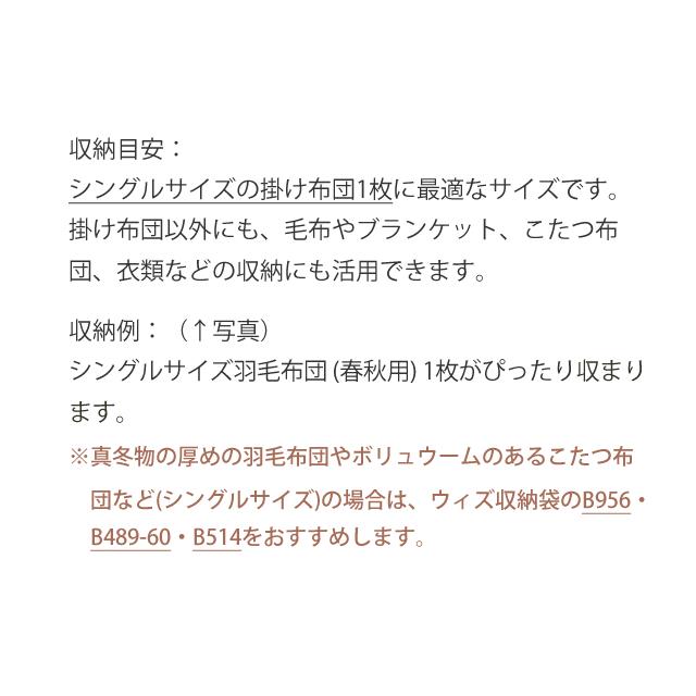 期間限定 収納袋 布団収納 毛布収納 正方形 フリル付き 座布団収納 ブランケット収納 洗える 収納カバー クッション 取っ手付き  b527【カバーのみの販売】 | With：）SOFA | 11
