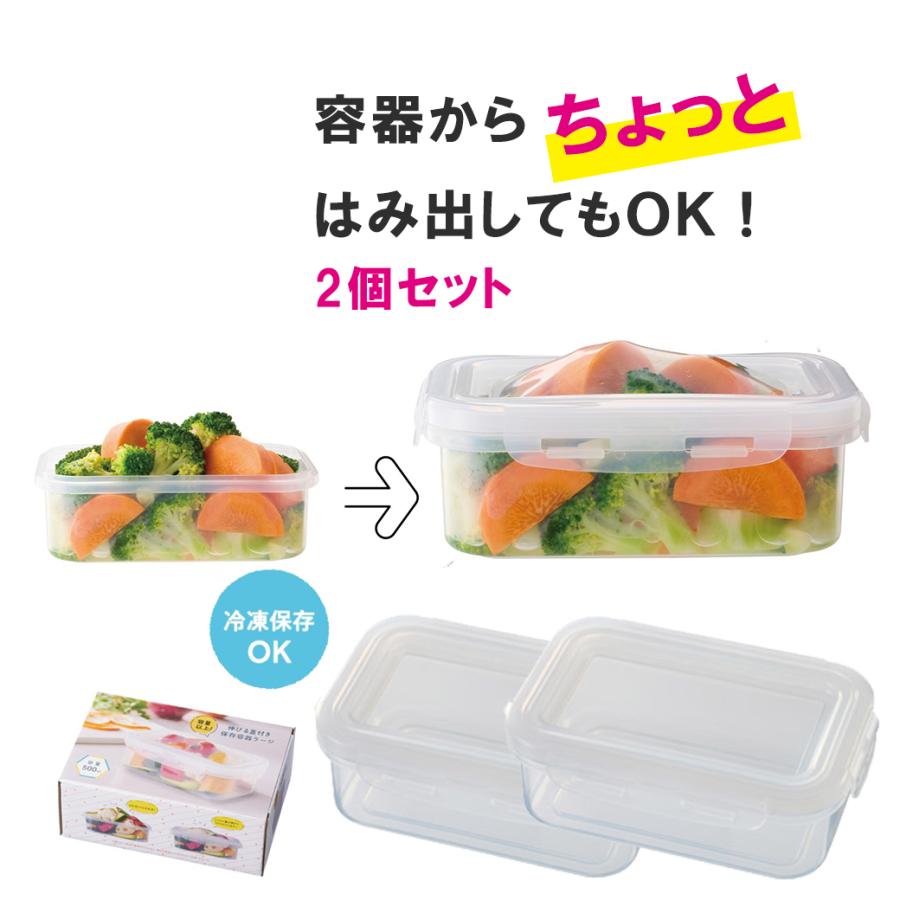 容器 プラスチック 2個セット 蓋付き 伸びる 容量以上 冷凍 保存