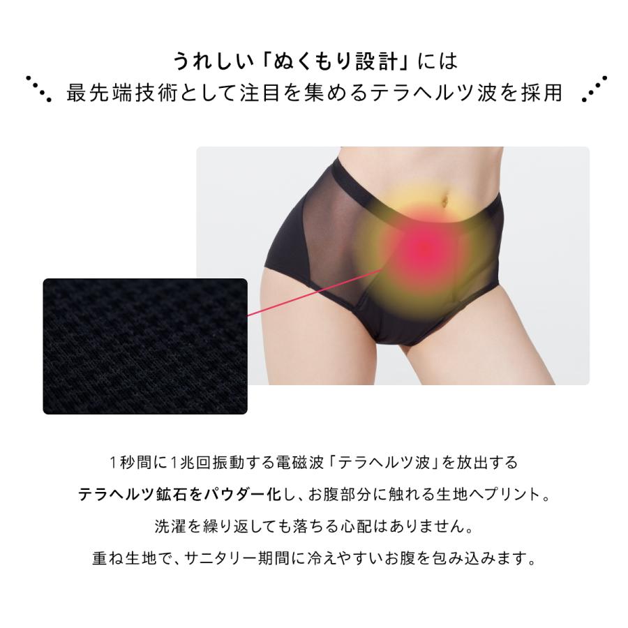 吸水ショーツ 60ml 吸収ショーツ 軽い日 普通 速乾 サニタリー パンツ 消臭 防臭 抗菌 おしゃれ メッシュ 蒸れない Be-A エアライトショーツ |  | 17