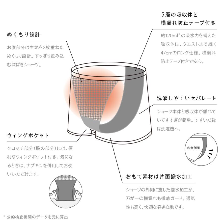 Be-A シグネチャー ショーツ 02 3枚セット吸水ショーツ サニタリー