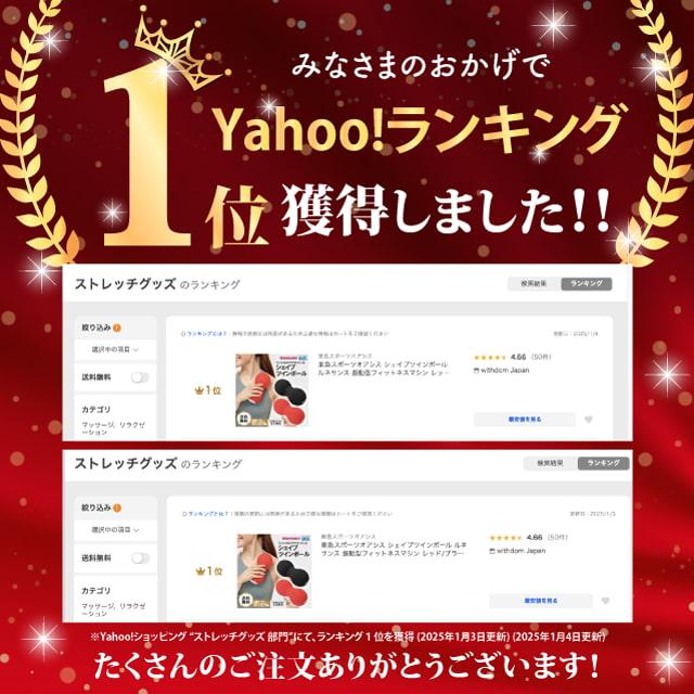 東急スポーツオアシス シェイプツインボール ルネサンス レッド 東急スポーツオアシス シェイプツインボール ルネサンス レッド