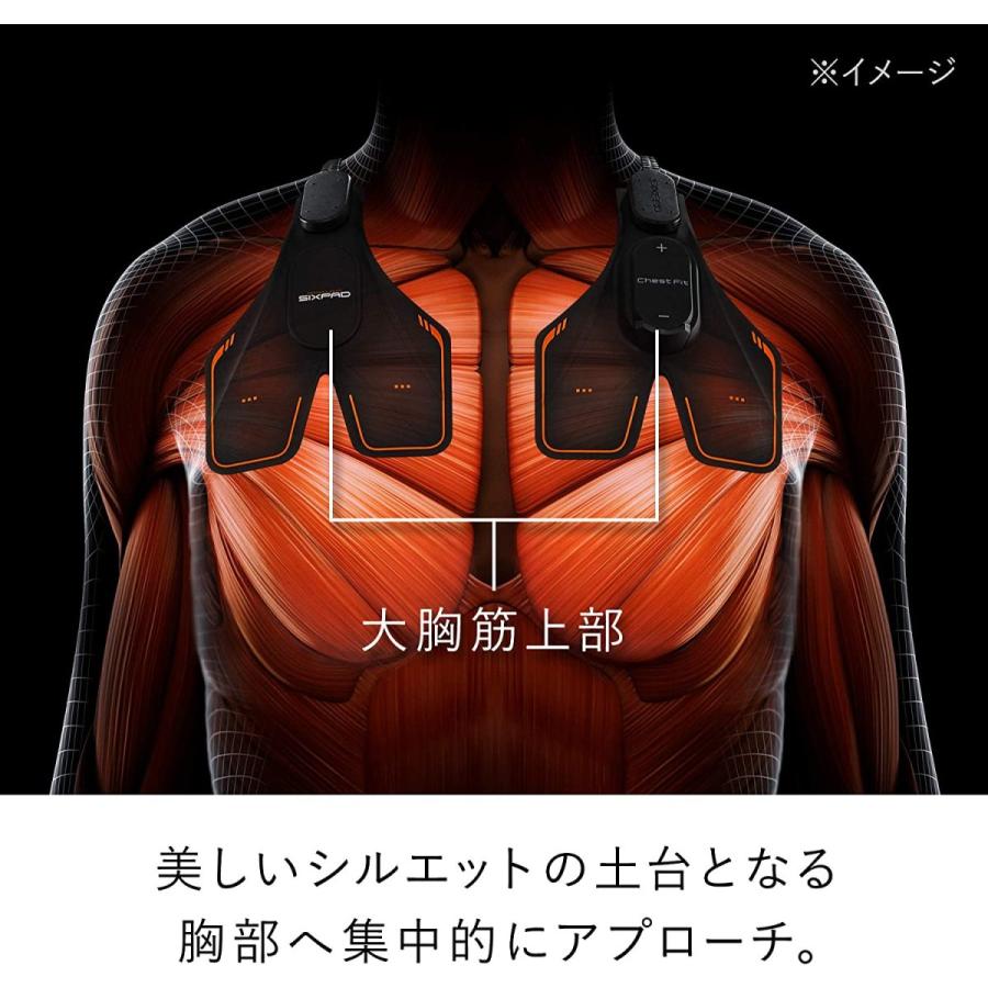 シックスパッド チェストフィット (SIXPAD Chest Fit) MTG 