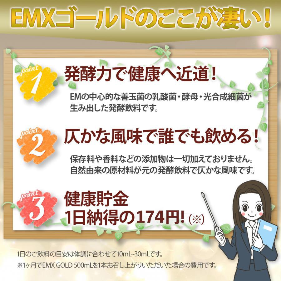 EMX GOLD(イーエムエックスゴールド/EMXゴールド)500ml 3本 EMX GOLD(イーエムエックスゴールド/EMXゴールド)500ml 3本