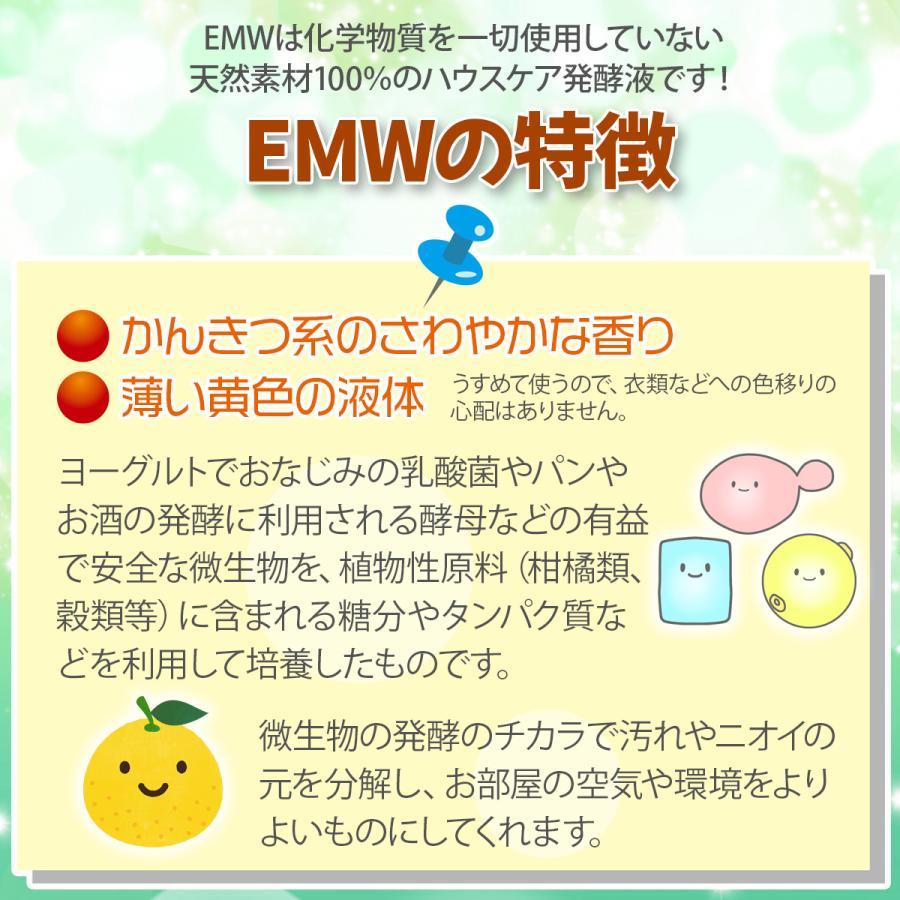 EMW(500ml）2本セット | ブランド登録なし | 03