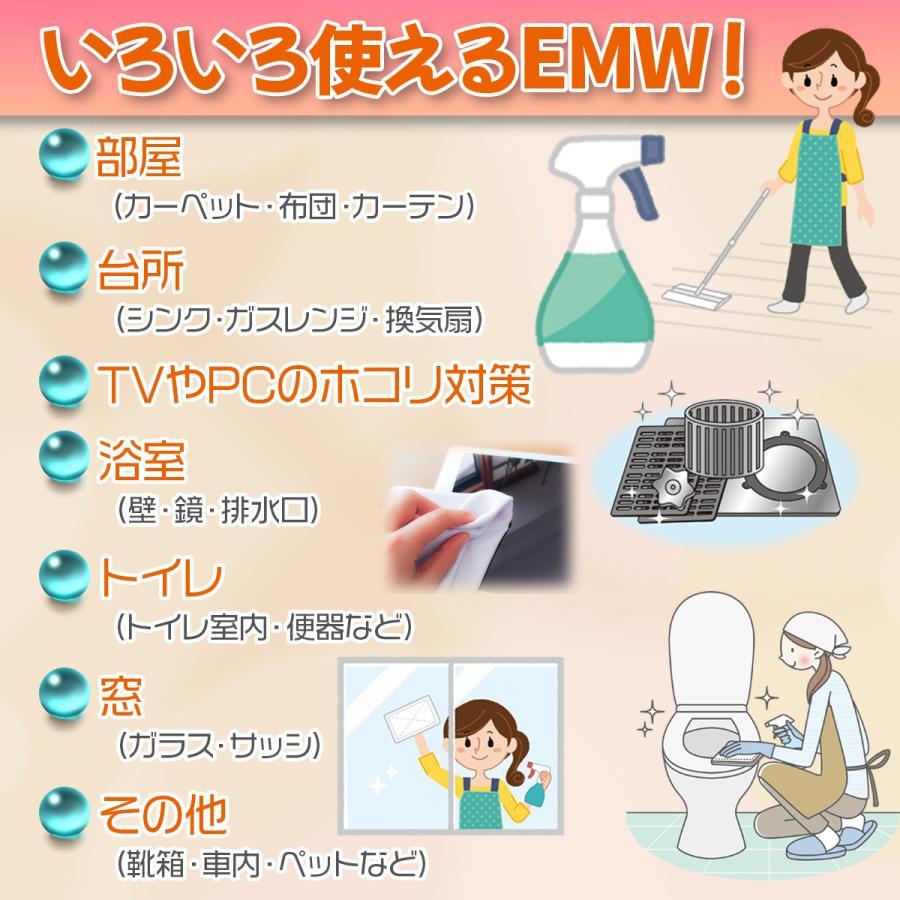 EMW(500ml）2本セット | ブランド登録なし | 04