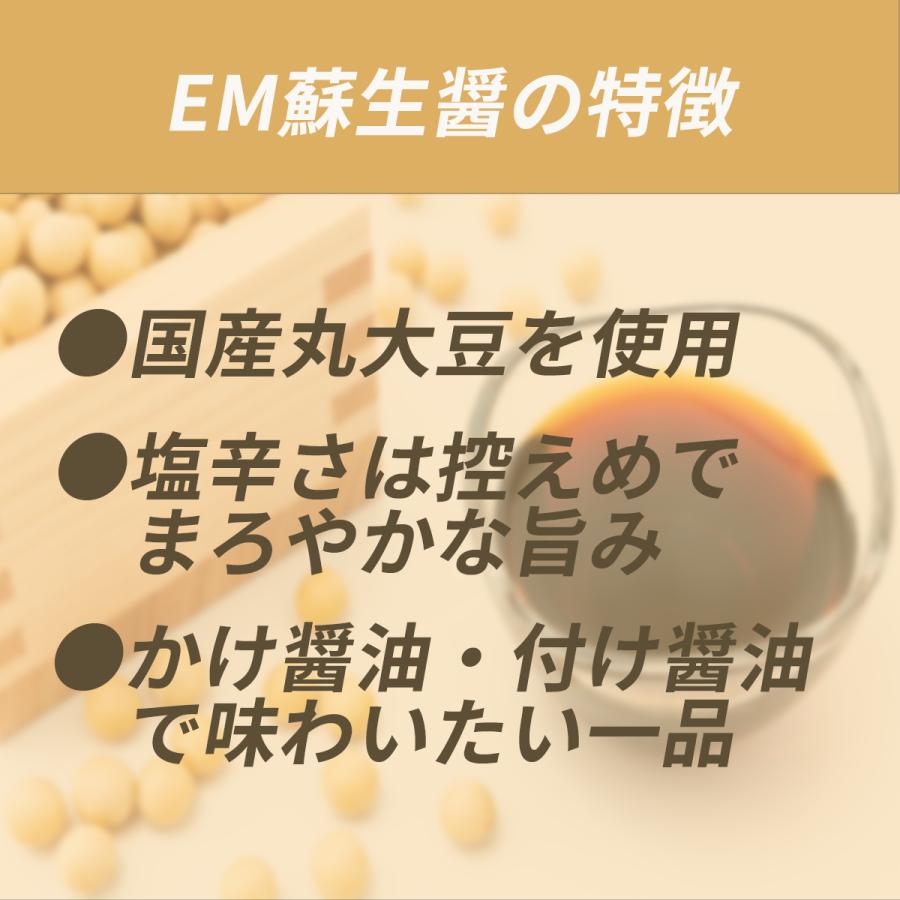 EM蘇生醤(ひしお)　500ml |  | 02