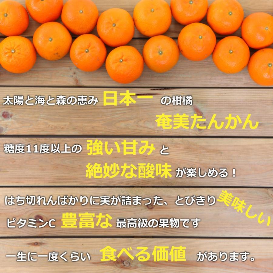 ＜数量限定販売＞最終注文1月中旬まで　秀品たんかん タンカン L〜３L 奄美産 3Kg （直径7.3〜8cm） 送料無料※天候によりMサイズ有多数商品説明参照 | ブランド登録なし | 01
