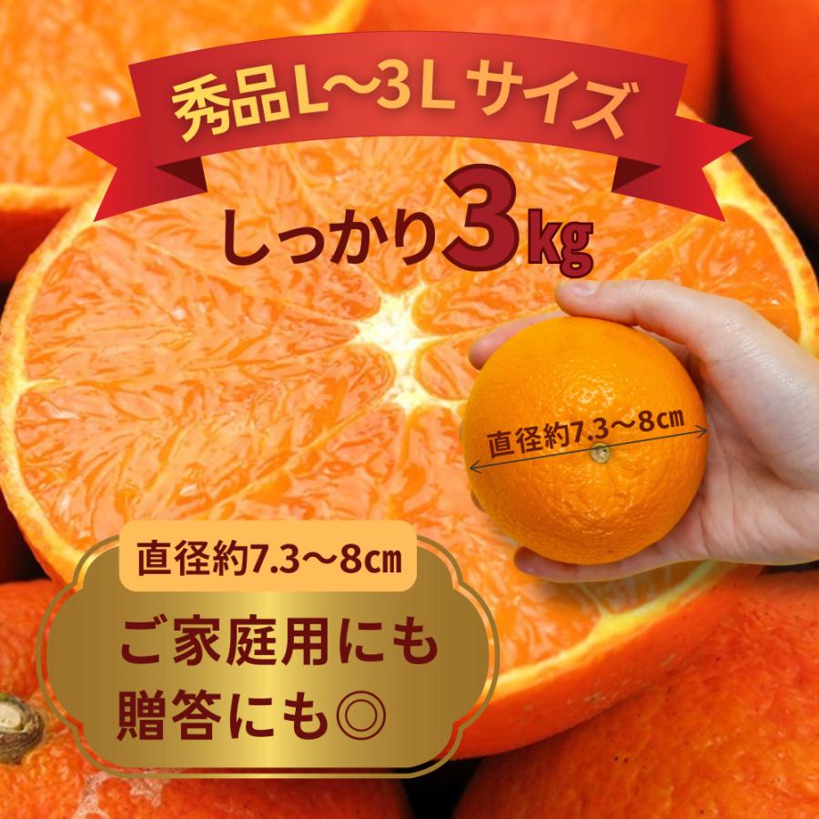 ＜数量限定販売＞最終注文1月中旬まで　秀品たんかん タンカン L〜３L 奄美産 3Kg （直径7.3〜8cm） 送料無料※天候によりMサイズ有多数商品説明参照 | ブランド登録なし | 02