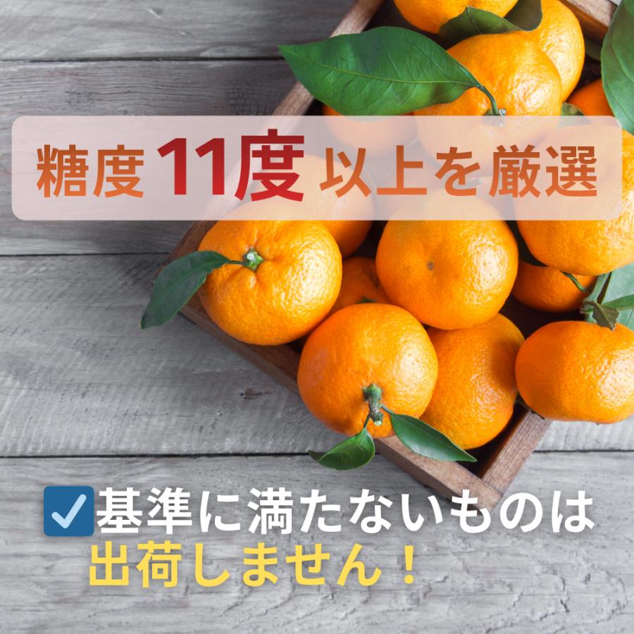＜数量限定販売＞最終注文1月中旬まで　秀品たんかん タンカン L〜３L 奄美産 3Kg （直径7.3〜8cm） 送料無料※天候によりMサイズ有多数商品説明参照 | ブランド登録なし | 03