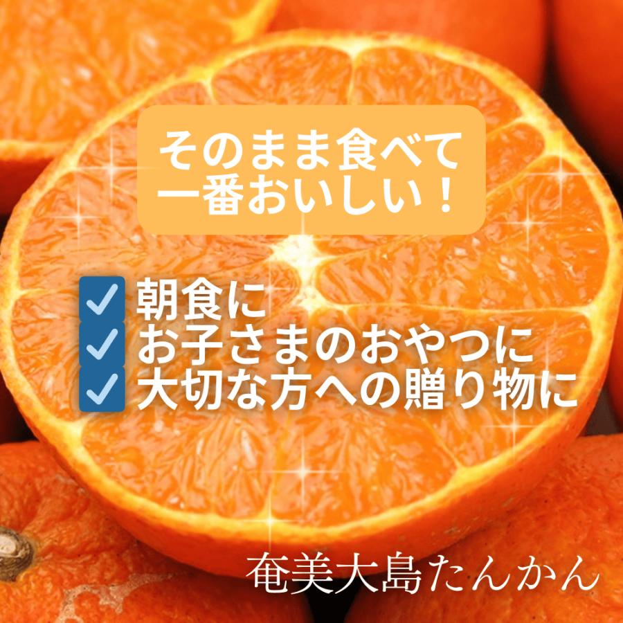 ＜数量限定販売＞最終注文1月中旬まで　秀品たんかん タンカン L〜３L 奄美産 3Kg （直径7.3〜8cm） 送料無料※天候によりMサイズ有多数商品説明参照 | ブランド登録なし | 05