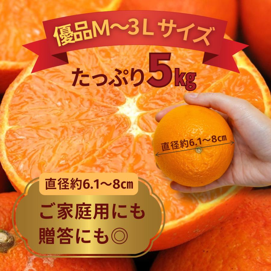 ＜数量限定販売＞最終注文1月中旬まで　優品たんかん 完熟タンカン 奄美大島産 5Kg （1個直径約6.1〜８cm） 送料無料 | ブランド登録なし | 02