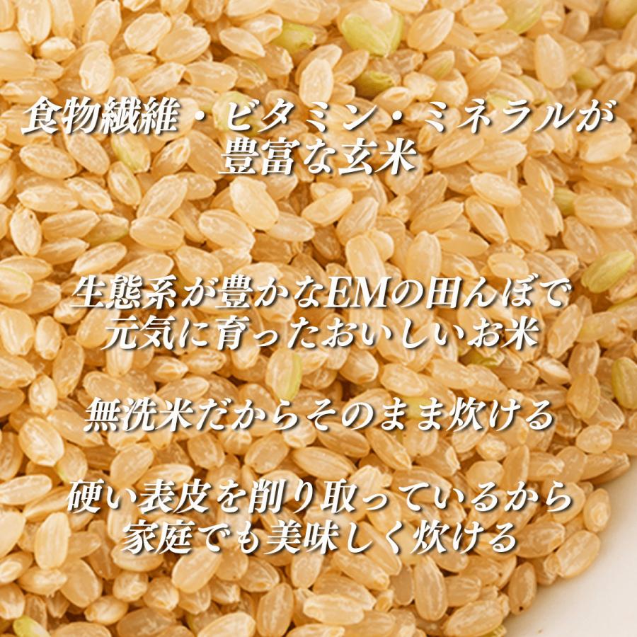 EM美味米 玄米99 : EMXファミリー友の会 - 通販 - Yahoo!ショッピング
