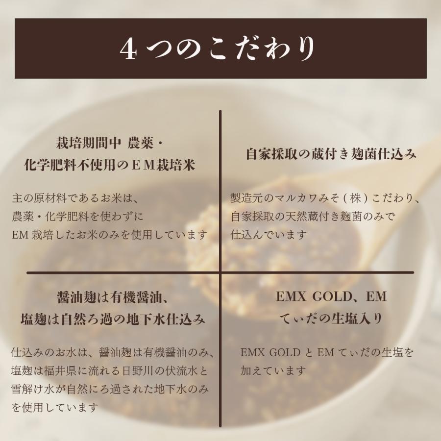 EMしょう油麹 |  | 03