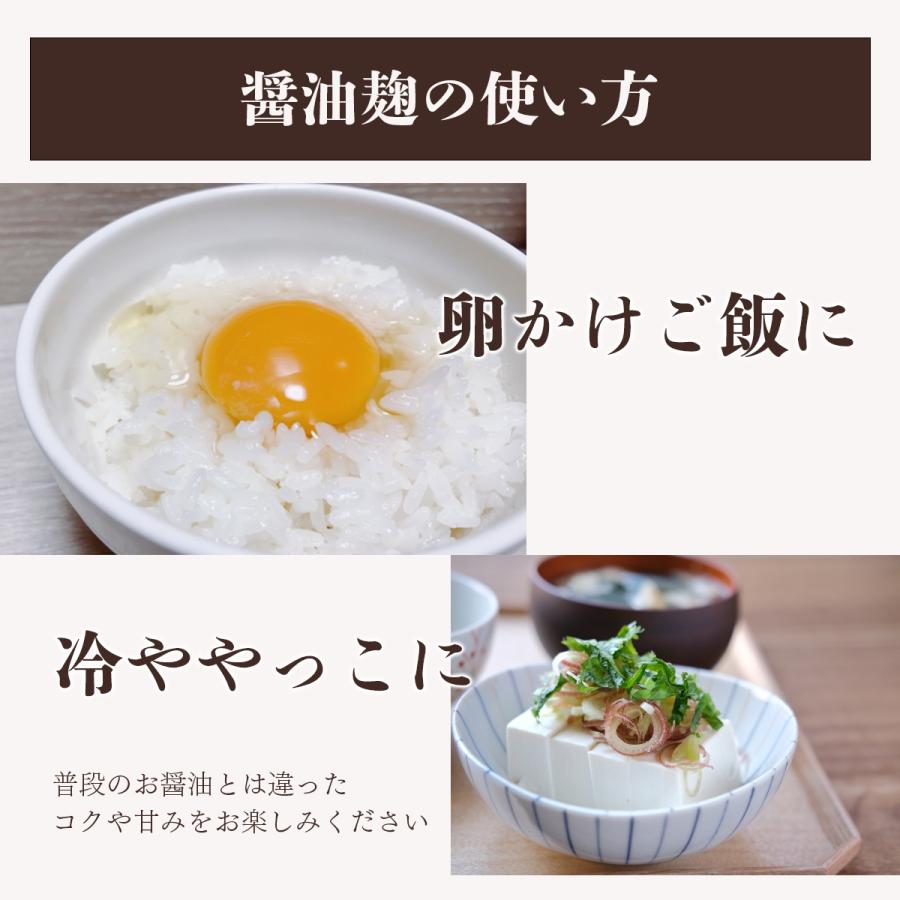 EMしょう油麹 |  | 04