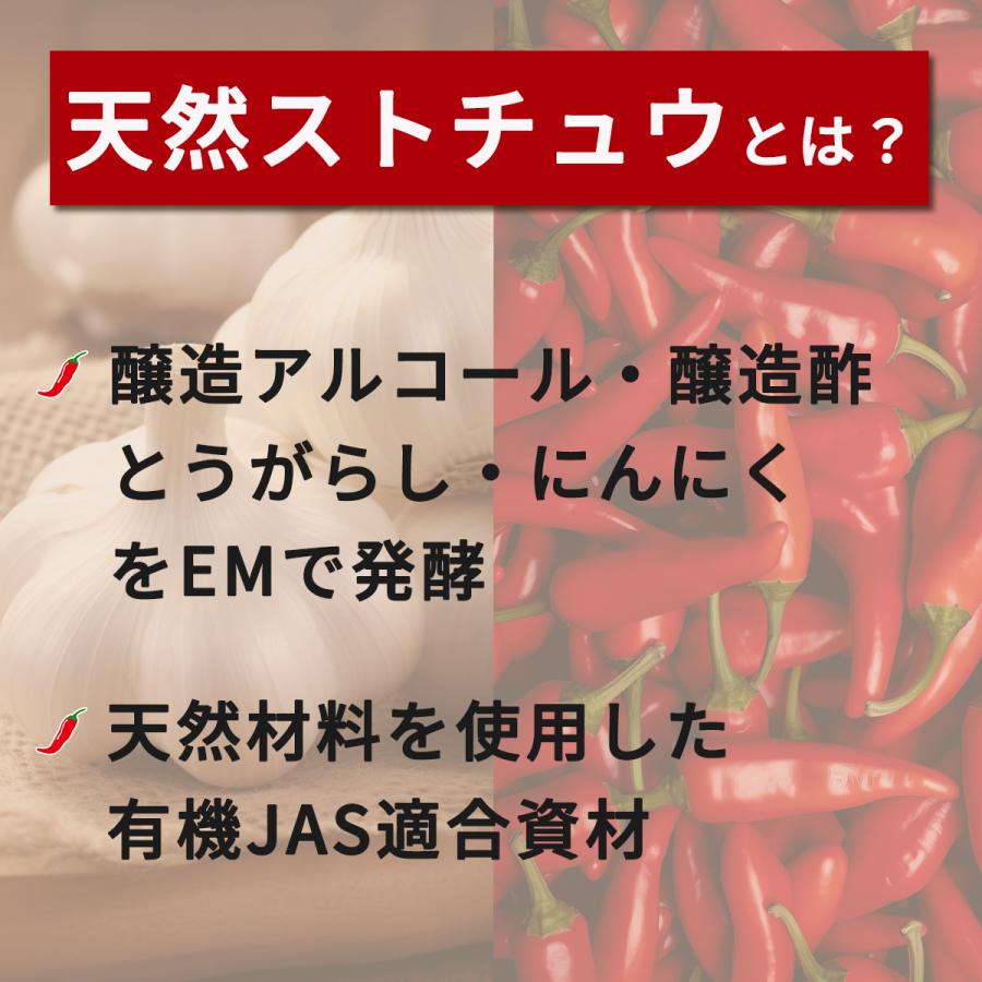 天然ストチュウ |  | 02