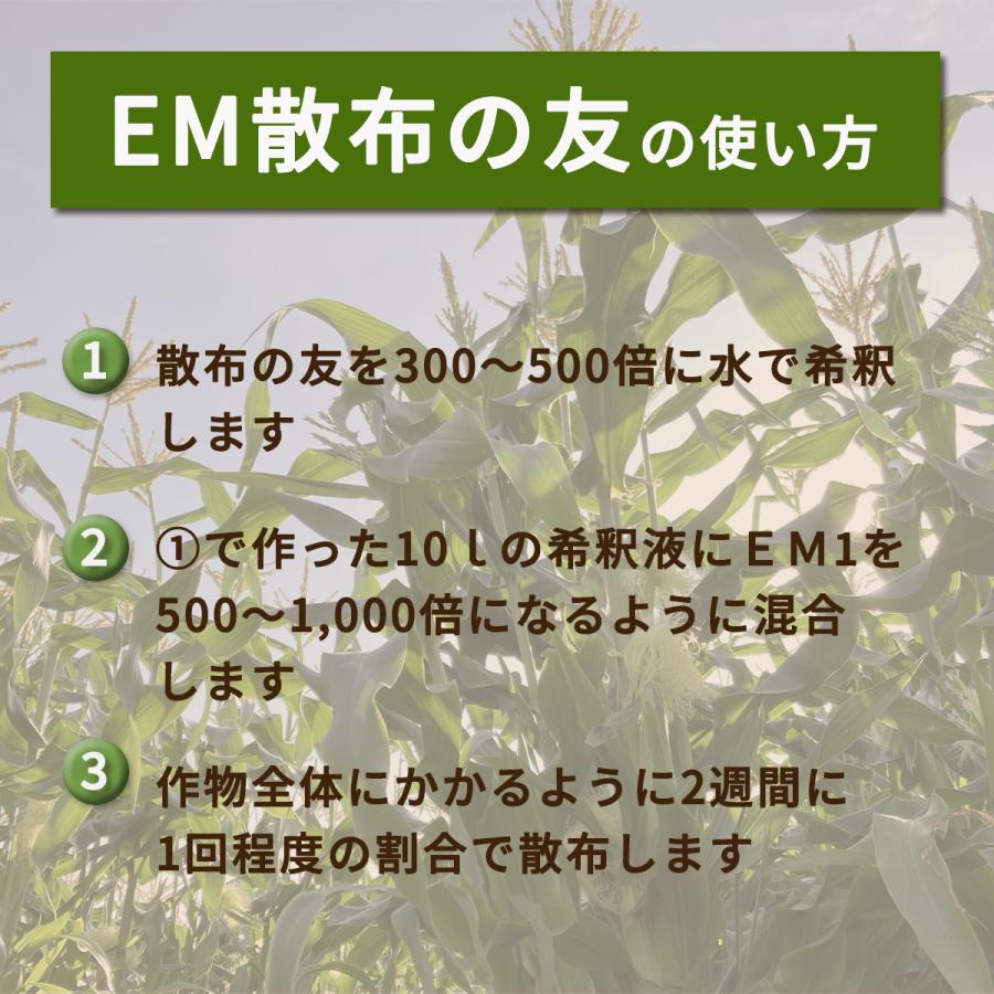 EM散布の友 |  | 04
