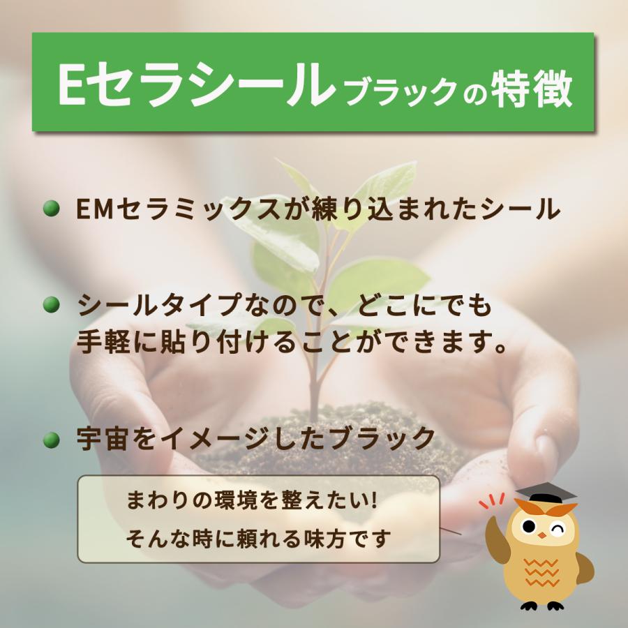 Eセラシール（ブラック）5枚入 | ブランド登録なし | 02