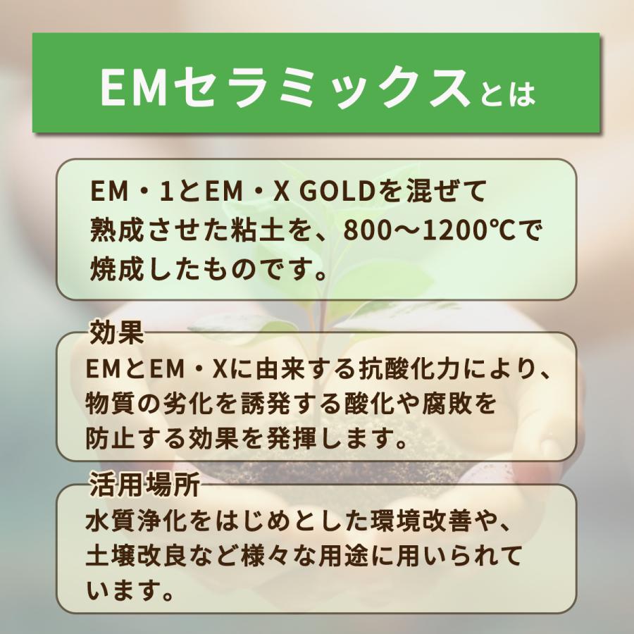 Eセラシール（グリーン）5枚入 | ブランド登録なし | 01