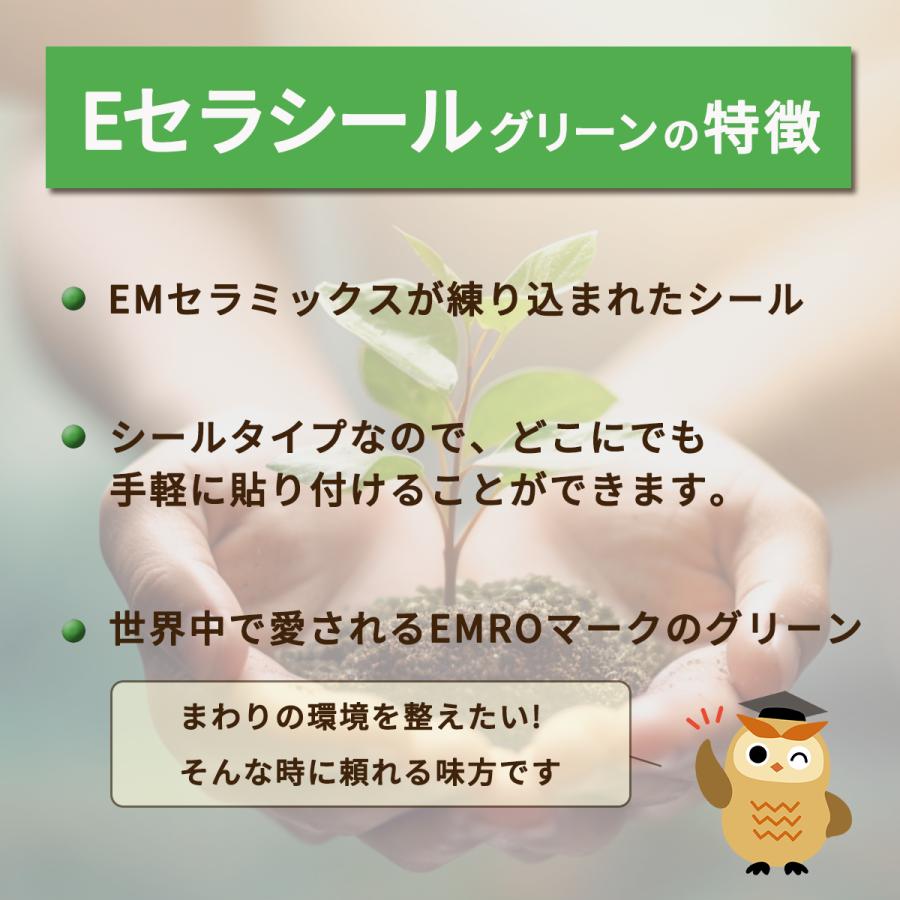Eセラシール（グリーン）5枚入 | ブランド登録なし | 02