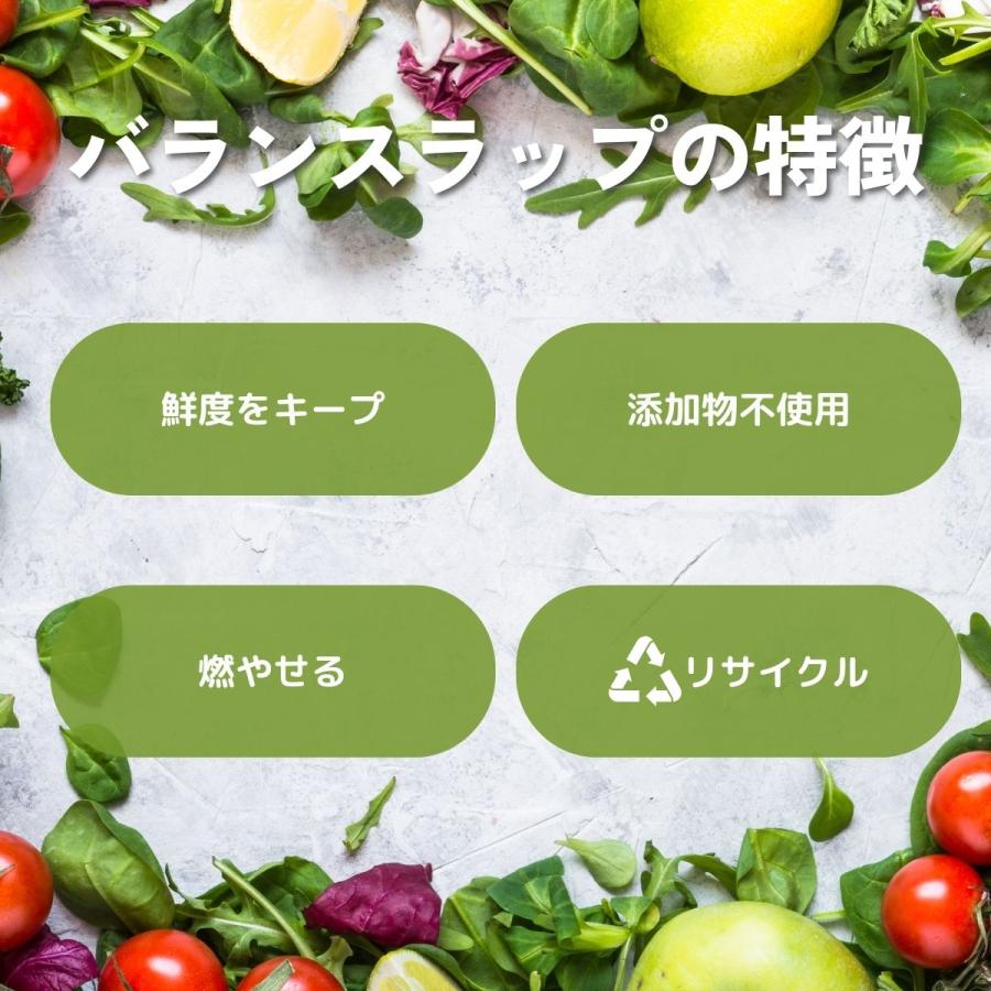 バランスラップ22cm×20cm | ブランド登録なし | 02