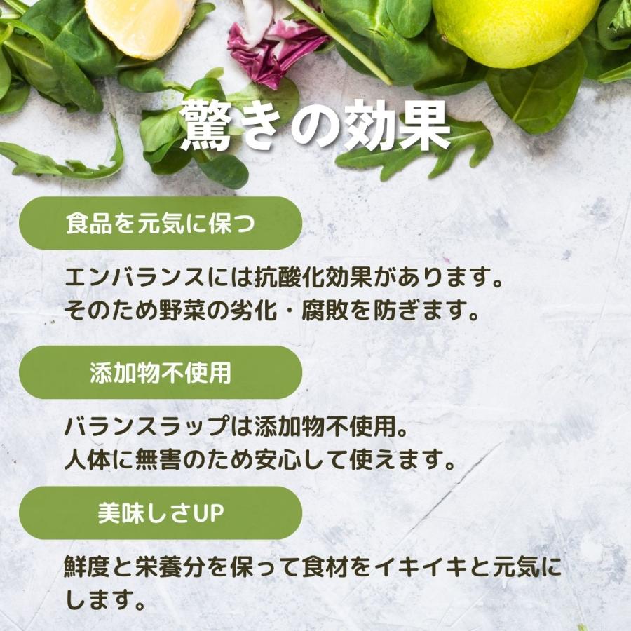 バランスラップ22cm×20cm | ブランド登録なし | 03