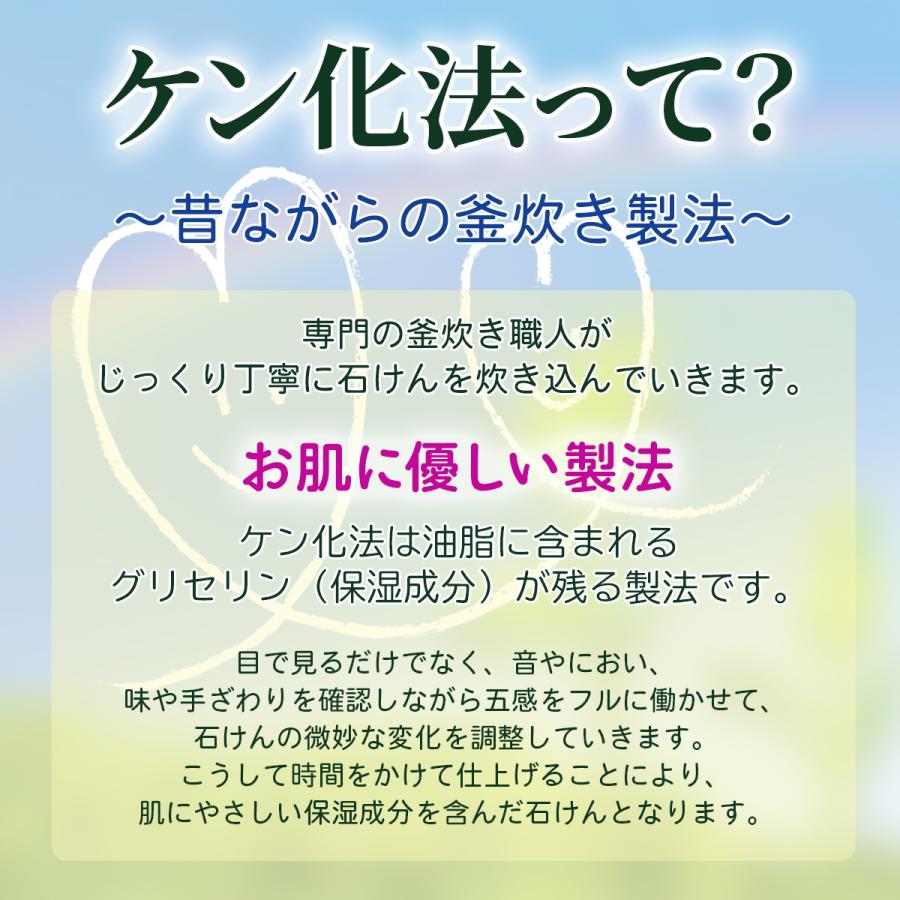 シャボン玉石けん 手洗いせっけん バブルガード 本体 300ml | シャボン玉石けん | 05